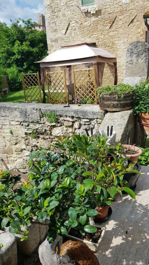 San Paterno B&B Rapolano Terme Bagian luar foto