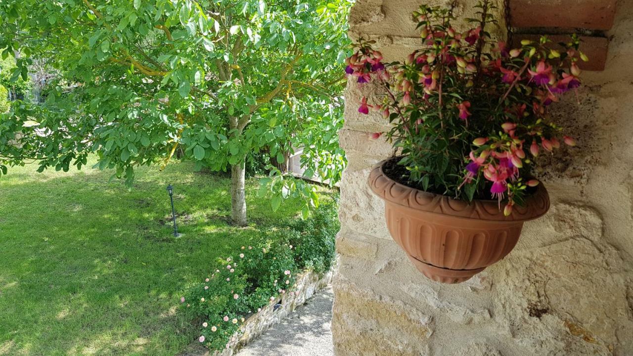 San Paterno B&B Rapolano Terme Bagian luar foto